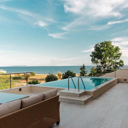 Villa Vasillis-Heated Swimming Pool With Infinity View Vitalades Luaran gambar